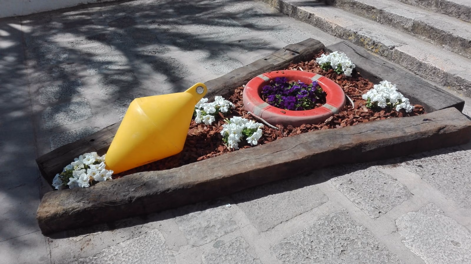 (Fotos) Maó empieza a florecer