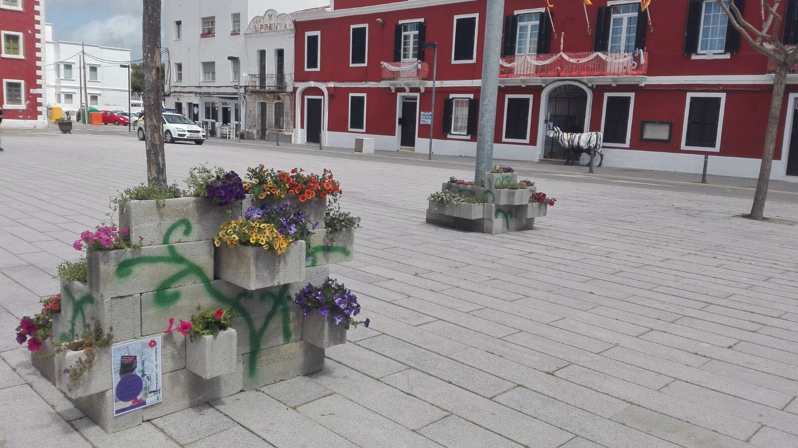 Es Castell también se viste de  flores