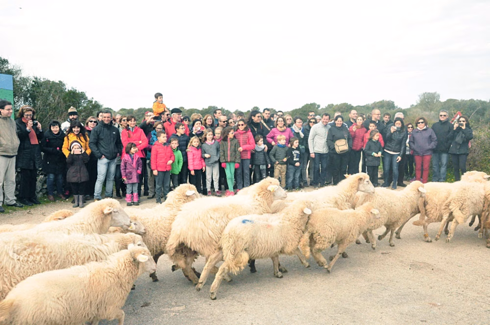 (Fotos) Culmina con éxito el programa "Viu Menorca Biosfera"