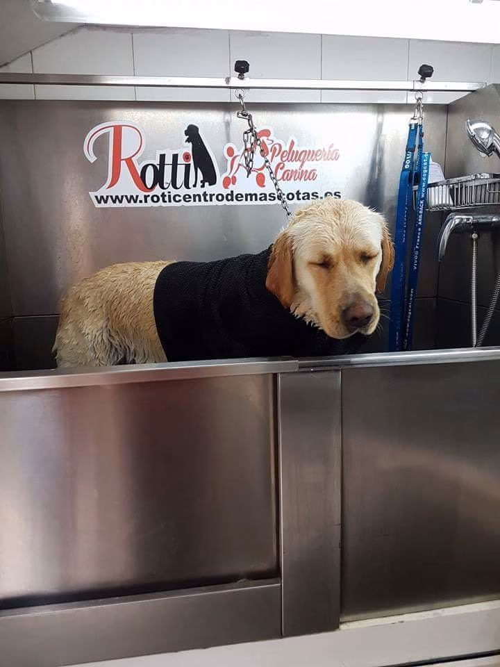 Belleza canina a domicilio