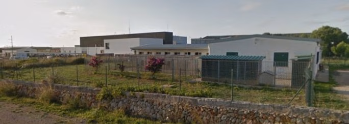 Una ciudadana británica deja 73.630 € en herencia para el servicio de recogida de animales