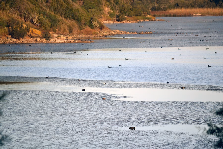 Jeroni Galmés advierte que si no se cuida la Isla se perderá el título de Reserva de Biosfera