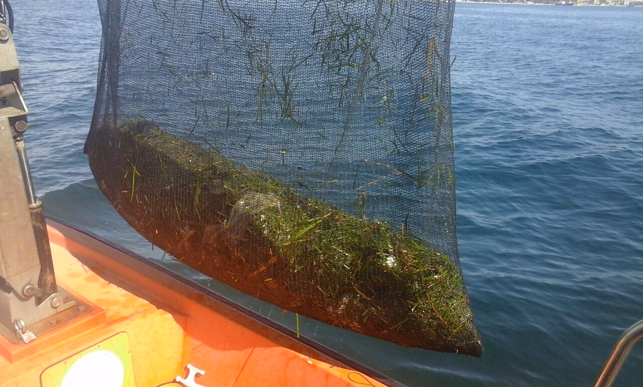 El Abacqua recogió 9,5 toneladas de residuos en el litoral menorquín en la temporada 2017