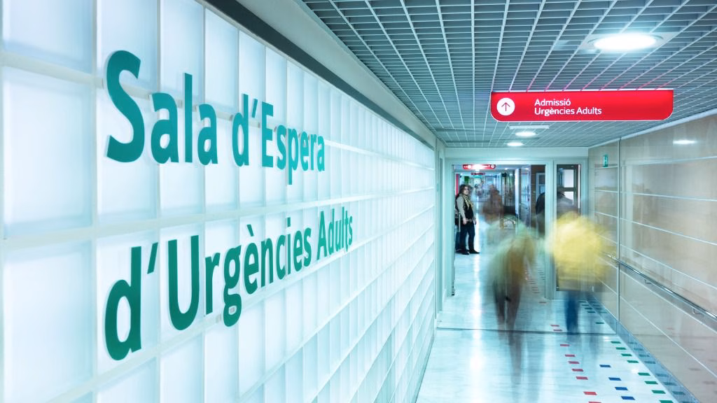 Aprobado el decreto del catalán en el IbSalut con el único apoyo de la Administración