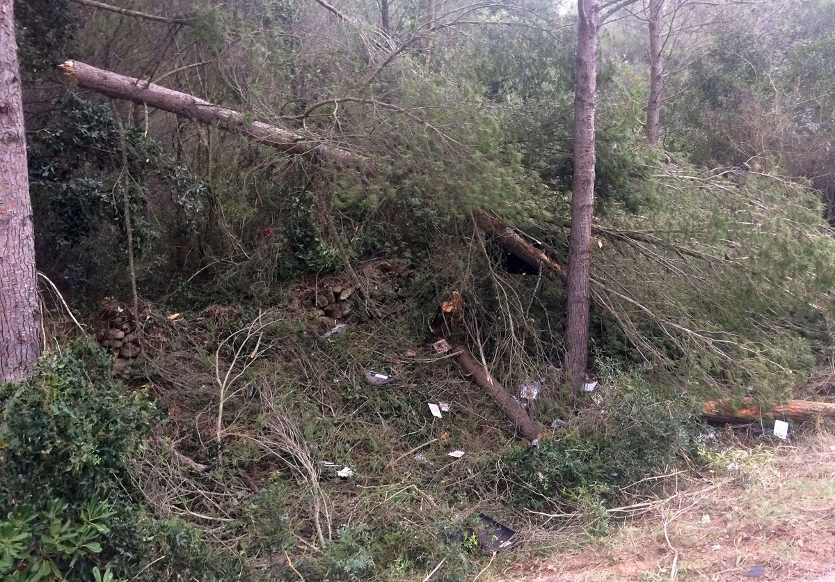 El conductor del coche accidentado en la carretera de Fornells mejora y podría salir de la UCI