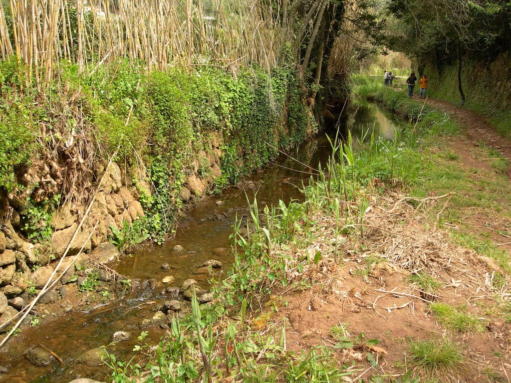 La Conselleria no podrá limpiar los torrentes hasta noviembre