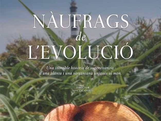 El documental "Nàufrags de l'evolució" gana el premio de mejor film europeo  en el Festival de Nueva York