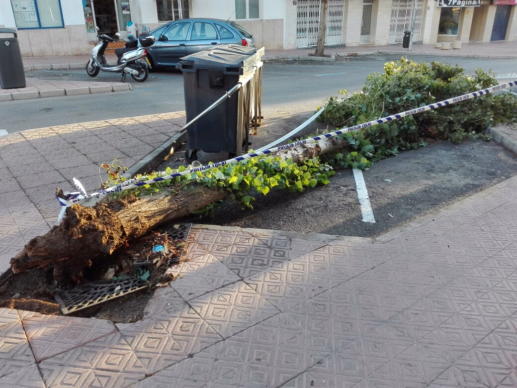 (Vídeo y fotos) Paisaje tras la tormenta