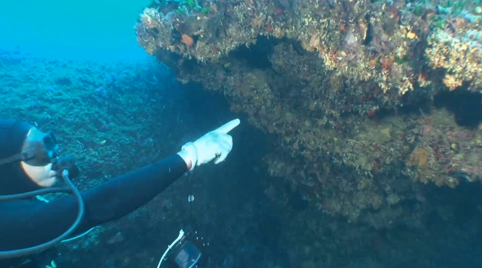 Espectacular vídeo de Jesús Calleja buceando entre barracudas en Menorca