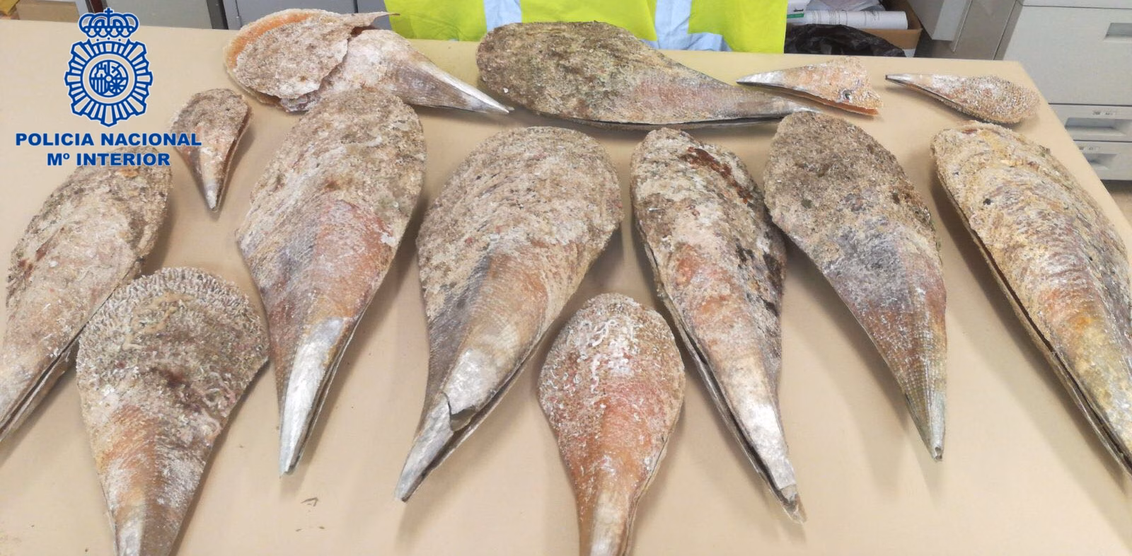 La Policía requisa trece nacras sacadas de Addaia