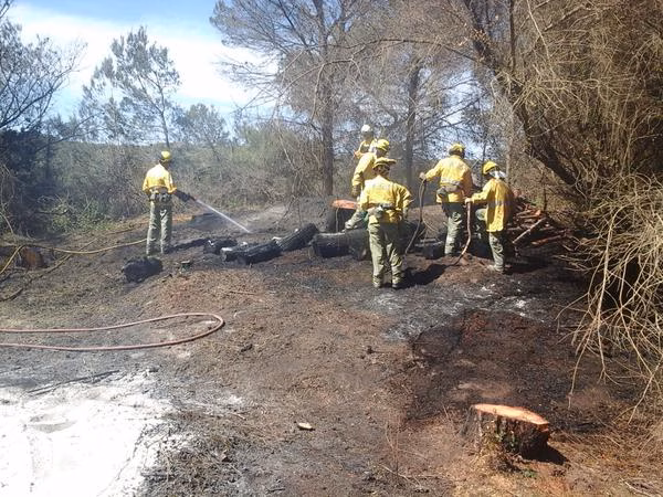 El Govern prohibe hacer fuego en el bosque