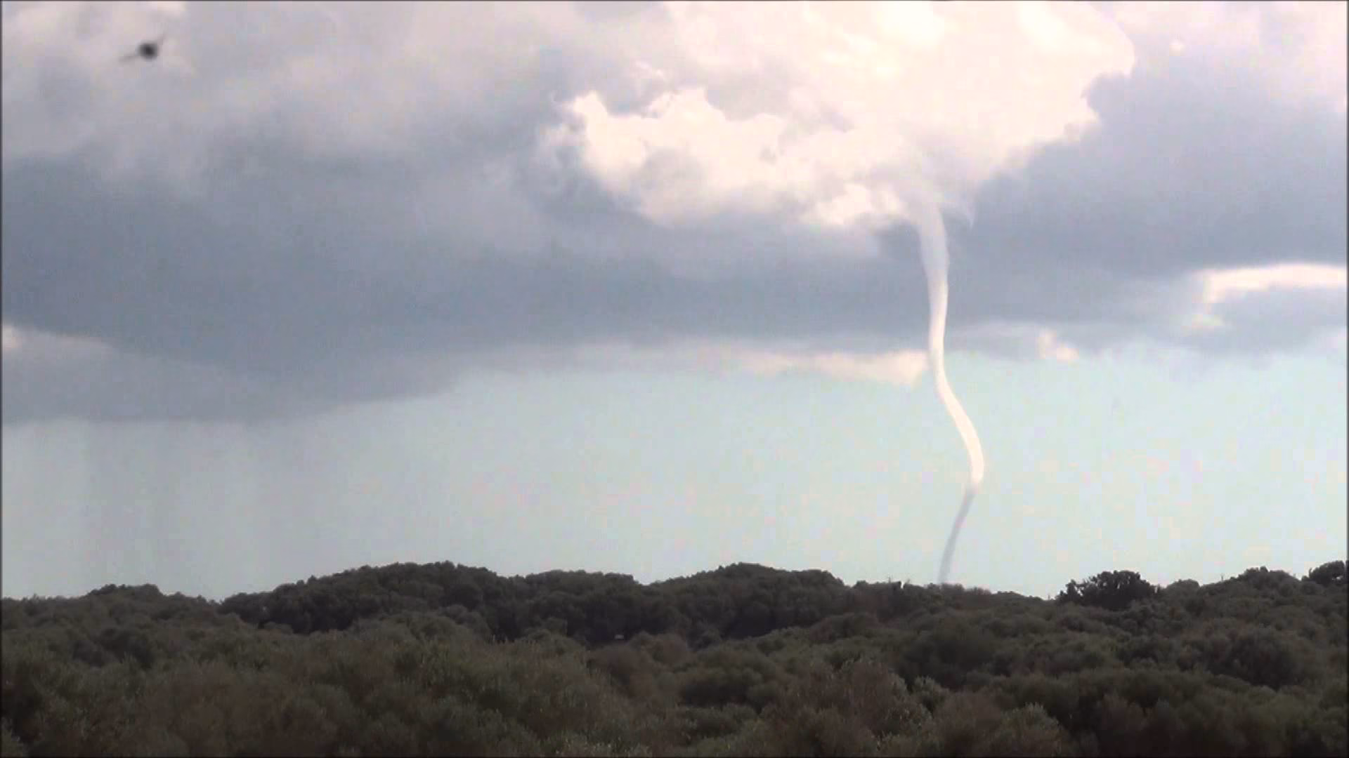 (Vídeo) Espectacular cap de fibló en Ciutadella