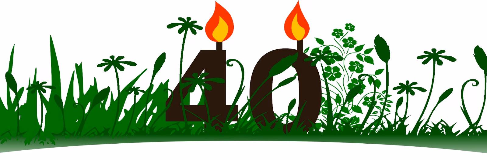 40 años de menorquinismo con celebración aplazada