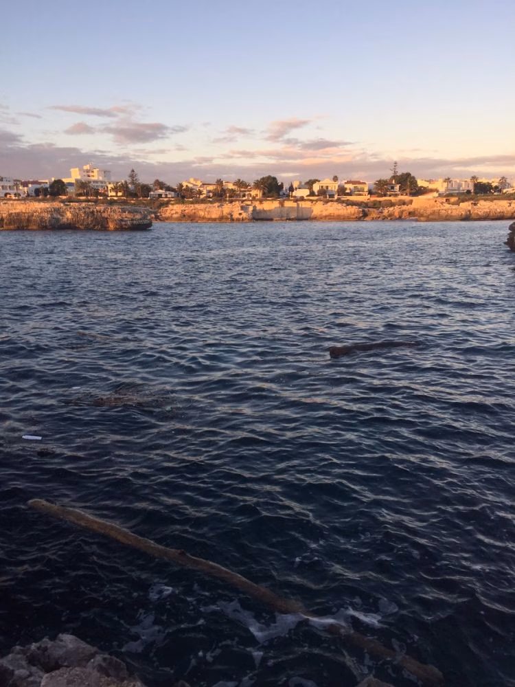 (Última Hora) Denuncian la presencia de tres grandes troncos en aguas de la Platja Gran de Ciutadella