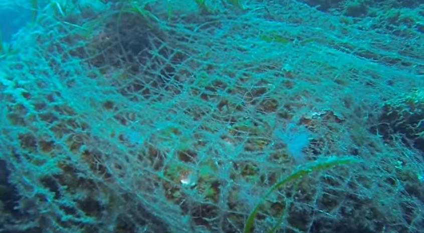 (Vídeos) Las redes invaden el lecho de la reserva marina