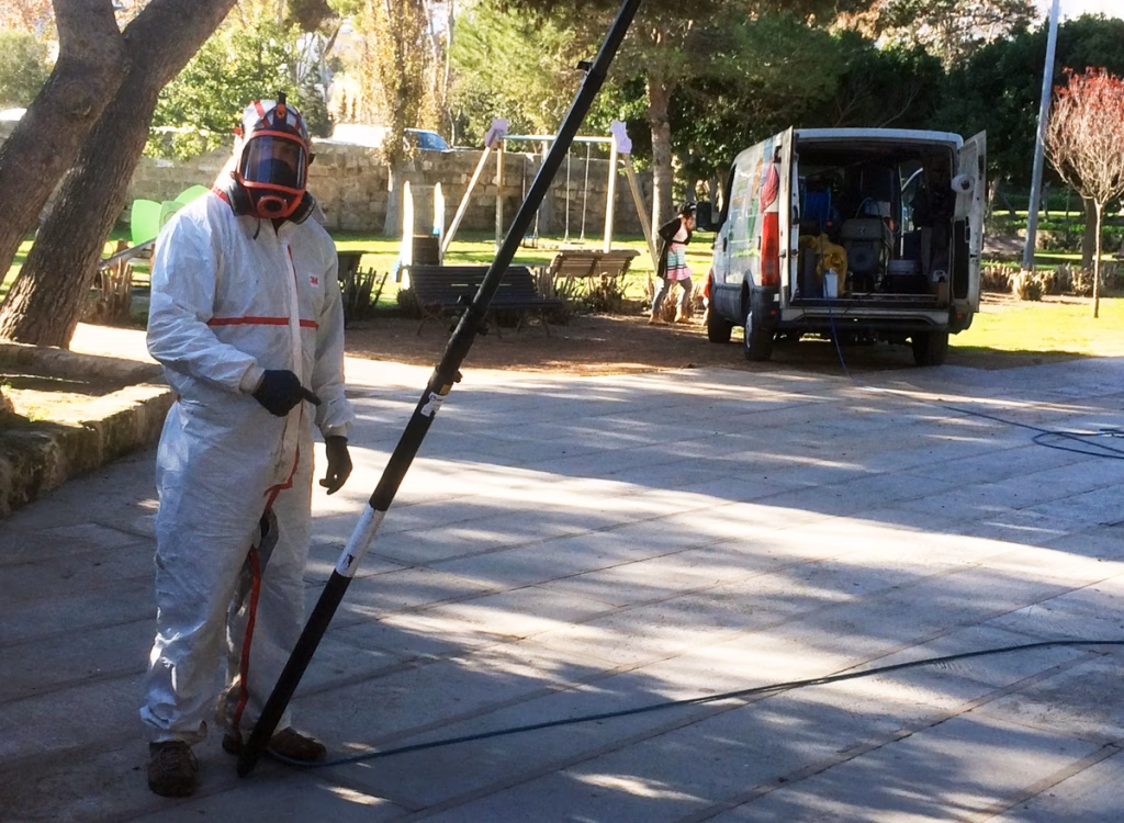 Empieza la temporada  de fumigación contra el picudo rojo