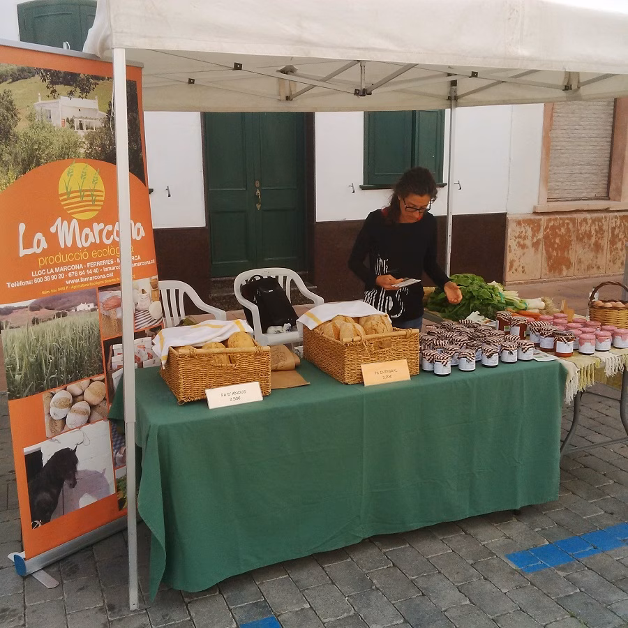 Alaior calienta motores para la llegada de la XII Feria de Productos ecológicos de Menorca