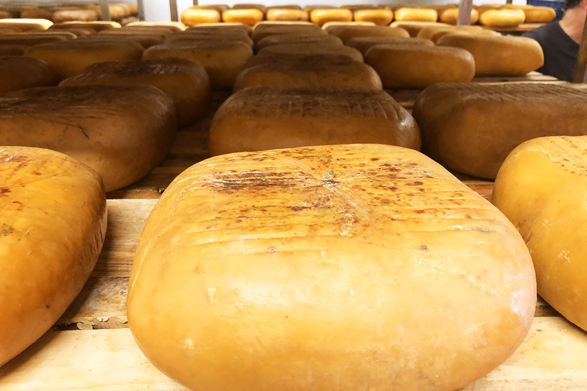 El queso Mahón-Menorca arrasa en Mallorca: un 87% de personas lo compra