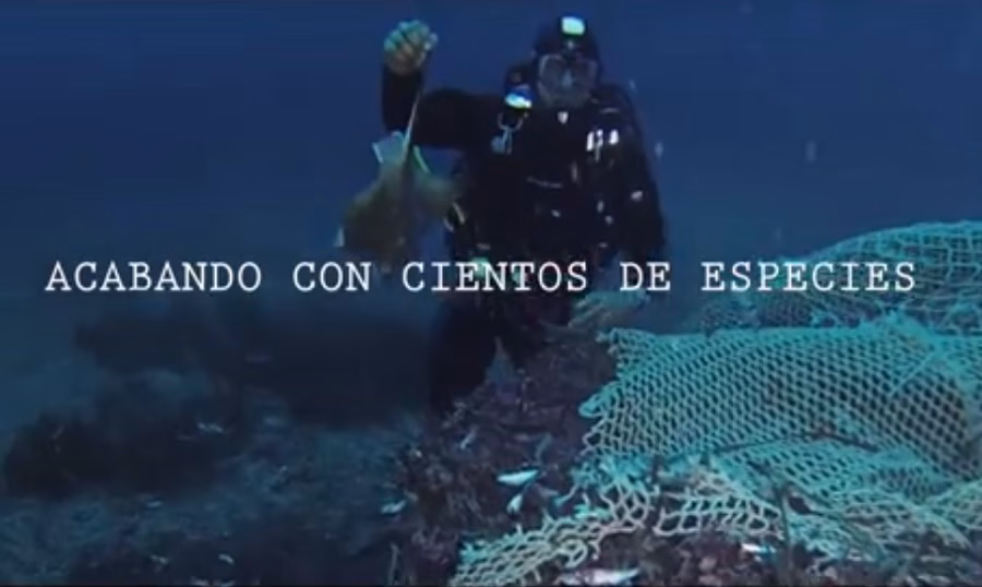 Oceana denuncia pesca de arrastre ilegal en el Mediterráneo