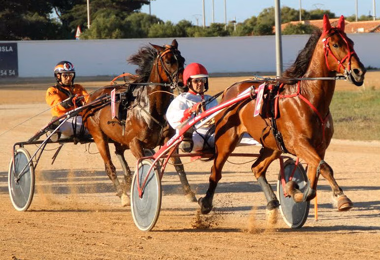 Única de Torrella, con Jaume Gomila, se reencuentra con la victoria