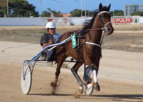 El trote está de vuelta en Maó y Ciutadella