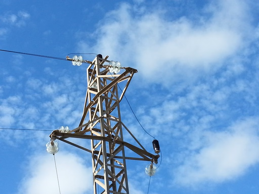 Aparece un quinto Milano Real electrocutado en una misma torre del Camí d'en Kane