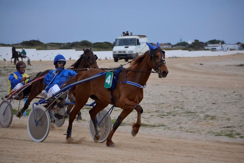 M.A. Huguet reanuda a lo grande la actividad en el hipódromo de Sa Torre del Ram