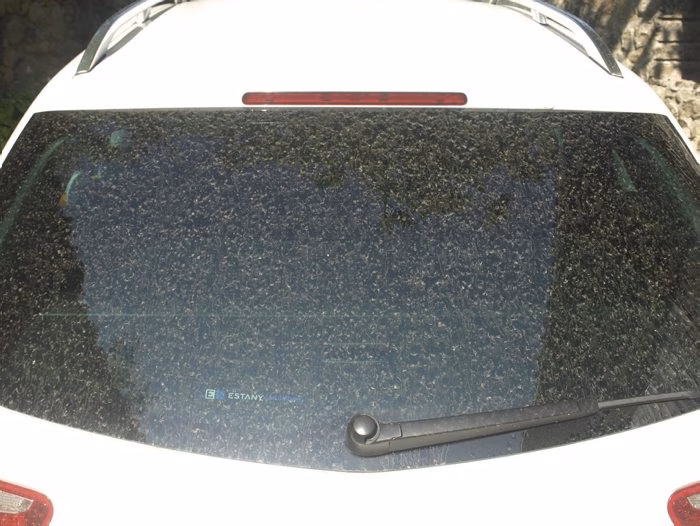 Vuelve el polvo en suspensión y el viento fuerte del norte a Menorca