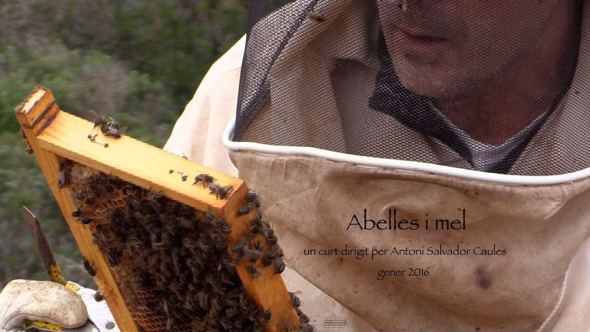 ‘Abelles i mel’ de Antoni Salvador se estrena en los Cines Canal Salat