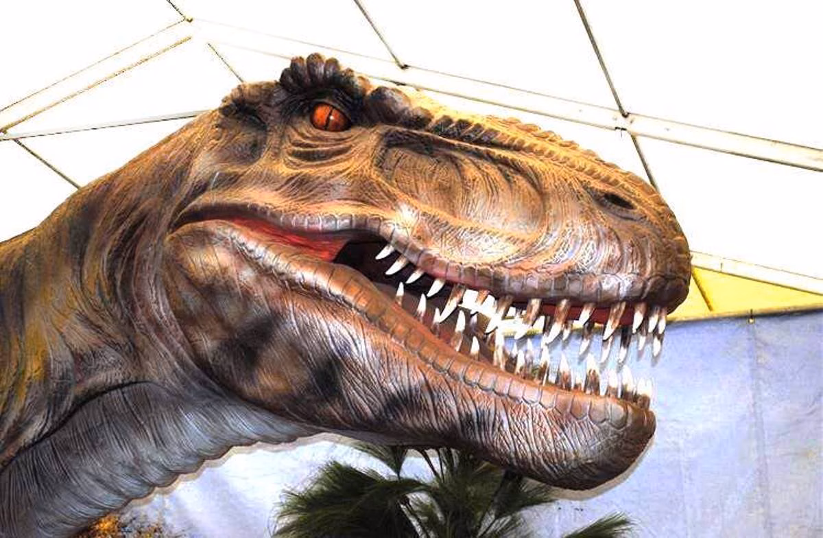 ‘Expo Jurásico’ llega a Maó con sus dinosaurios animatrónicos y a escala real