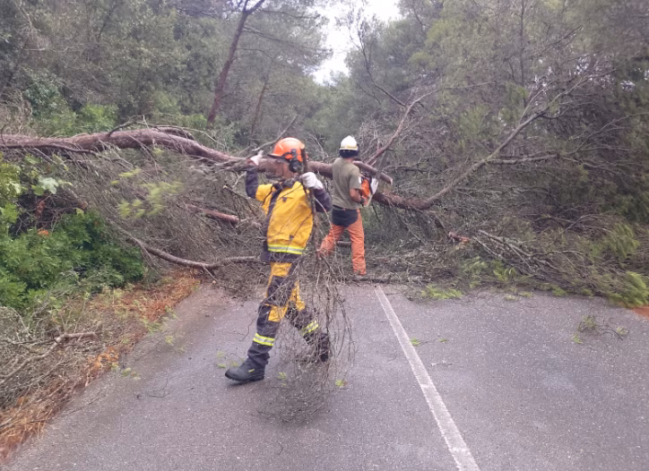 Emergencias ha gestionado hasta 58 incidencias en Menorca