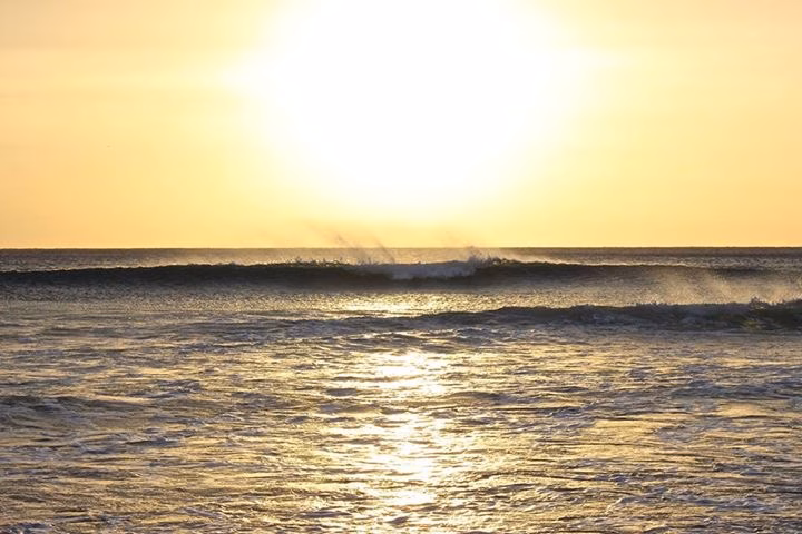 2016: Mejores cada día