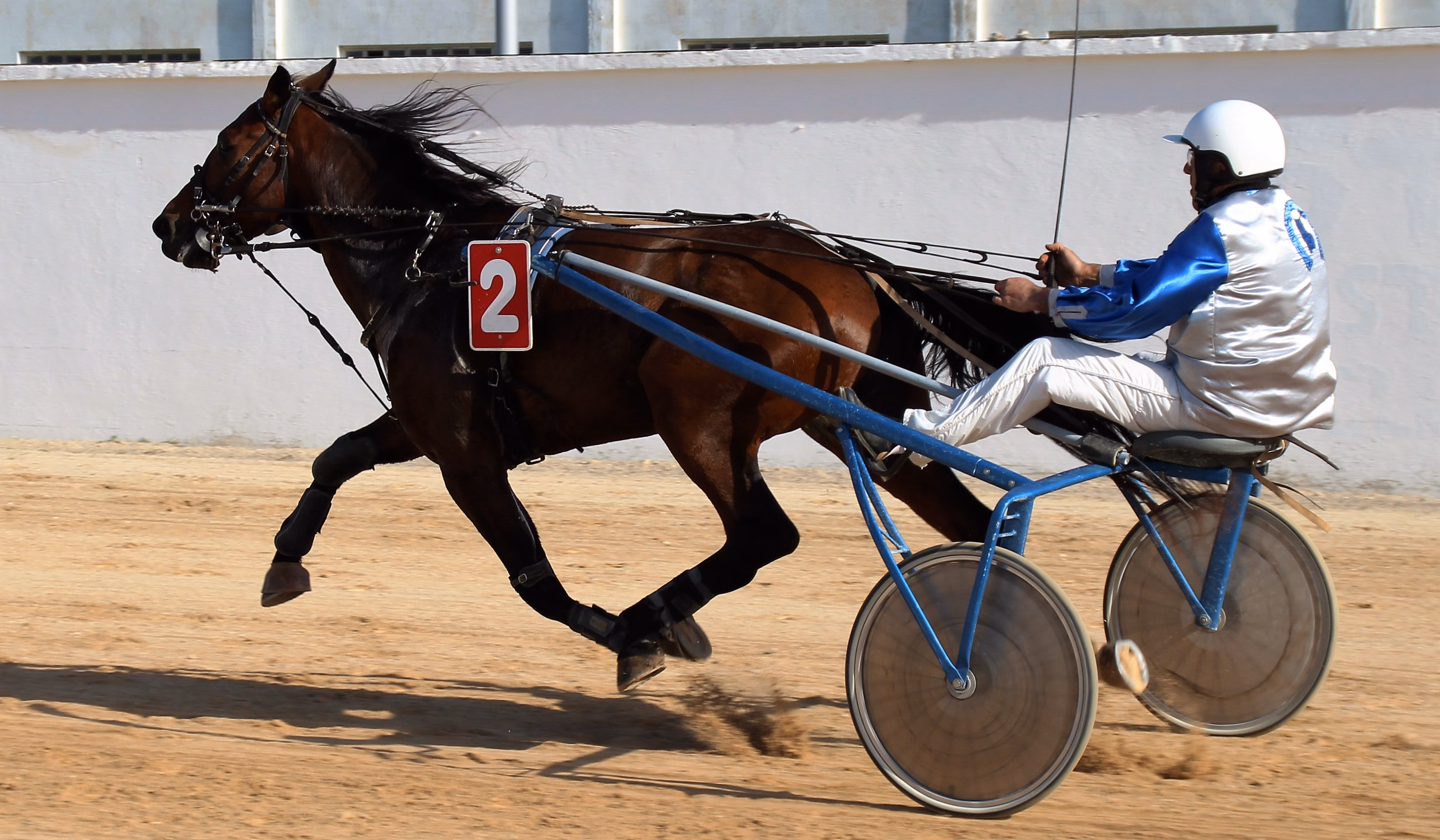 Vuelve el trote en Maó con Vuronometro Sund como rival a batir en la estelar