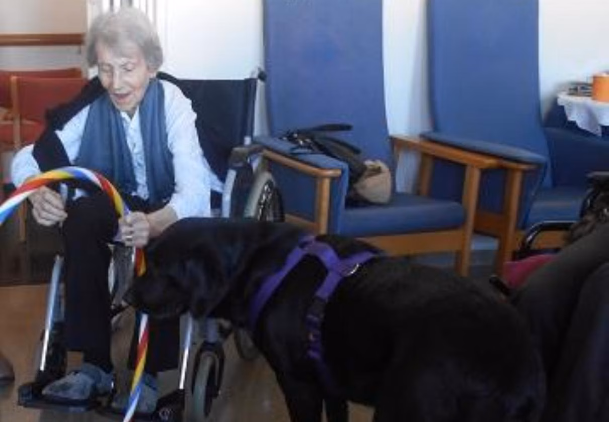 La perra Brida sigue como animal de la terapia asistida en el Geriàtric de Ciutadella