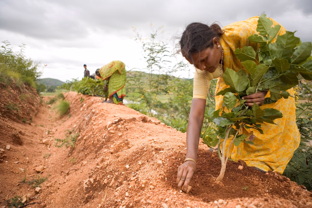 Fotografías de la India para sumarse al recital lírico para la Fundación Vicente Ferrer