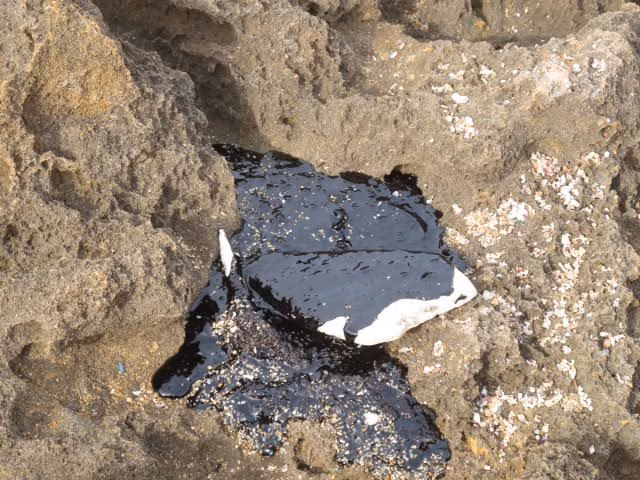 Aparecen restos de hidrocarburo en la costa de Menorca