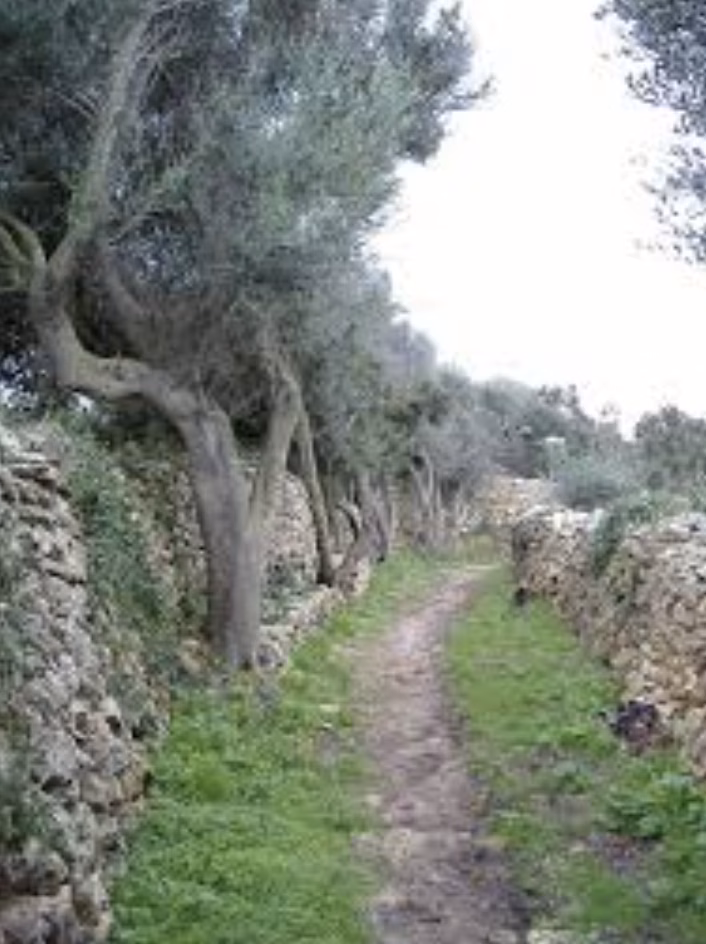 Senderismo: más allá del Camí de Cavalls