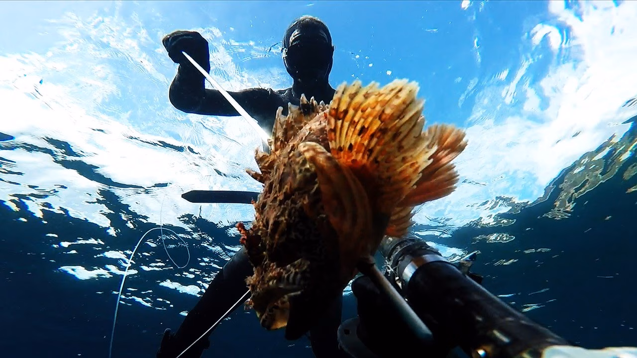 Así es una jornada de pesca submarina en verano en Menorca