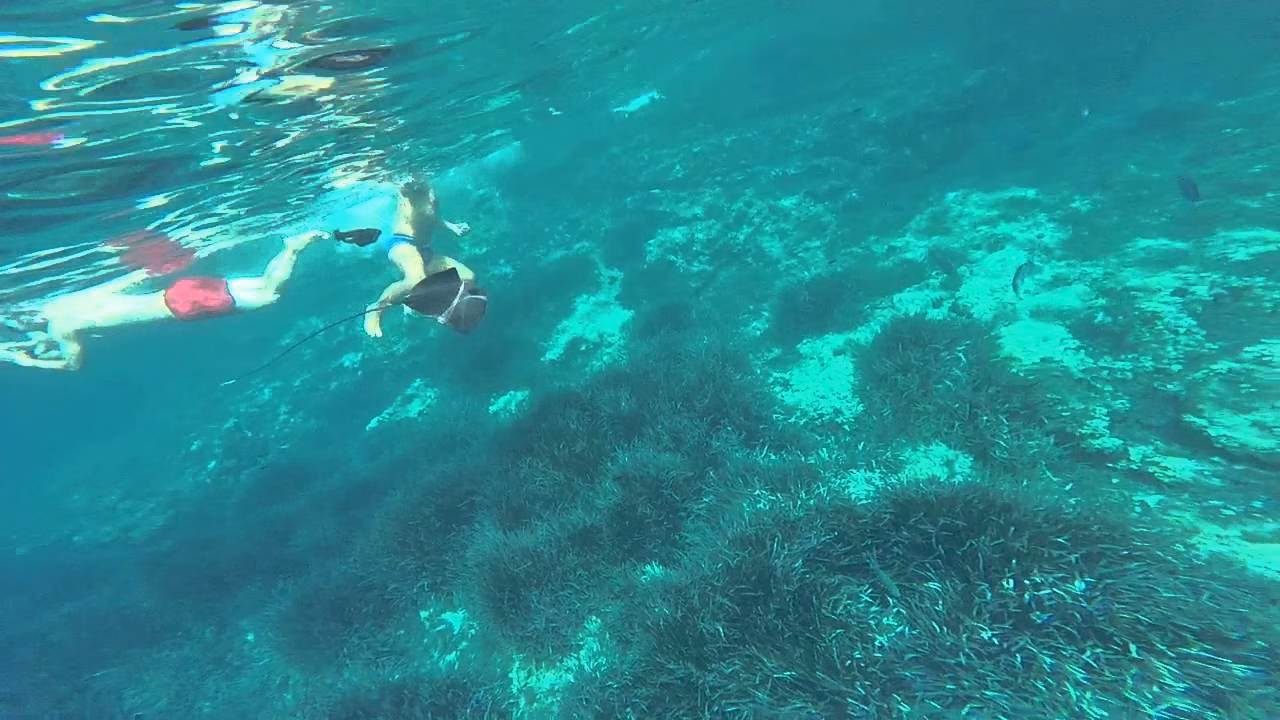 Quita el anzuelo a una raya y la devuelve al mar en Binisafua