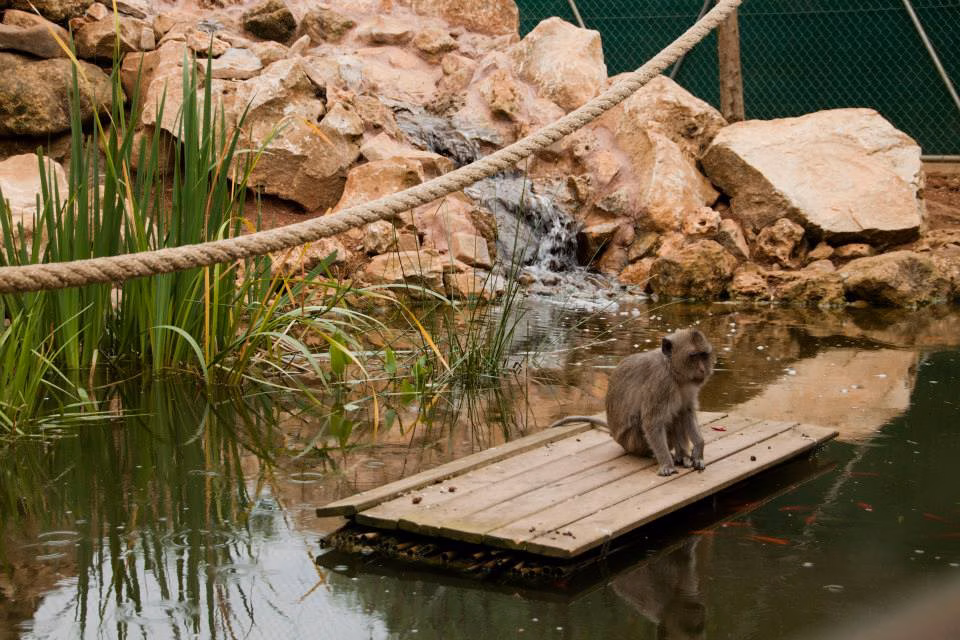 El 'Lloc de Menorca', entre los mejores diez zoo de España