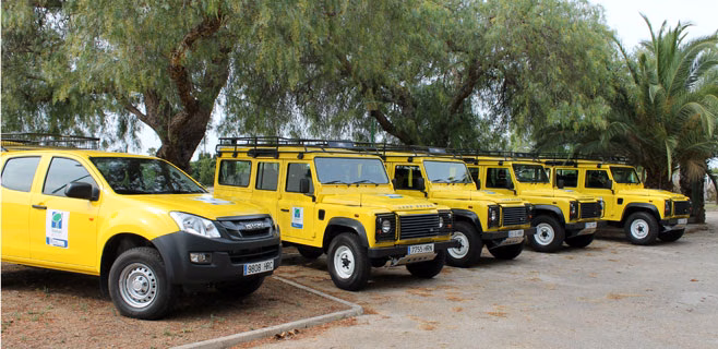 Extinguido el incendio forestal en Son Bou