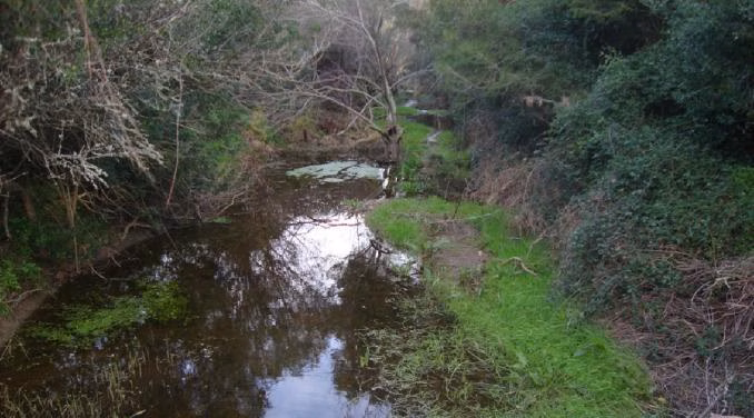 Un paseo por los torrentes de sa Boval y de na Bona