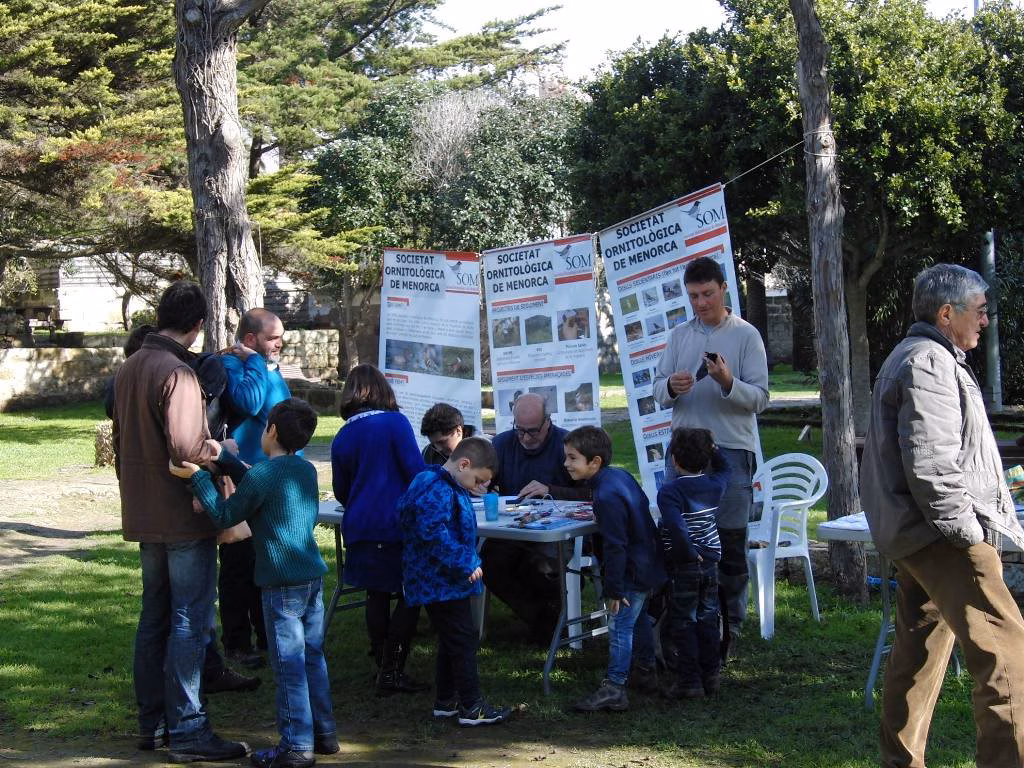 Una muestra de anillado científico de aves en el Parc Rubió Tudurí
