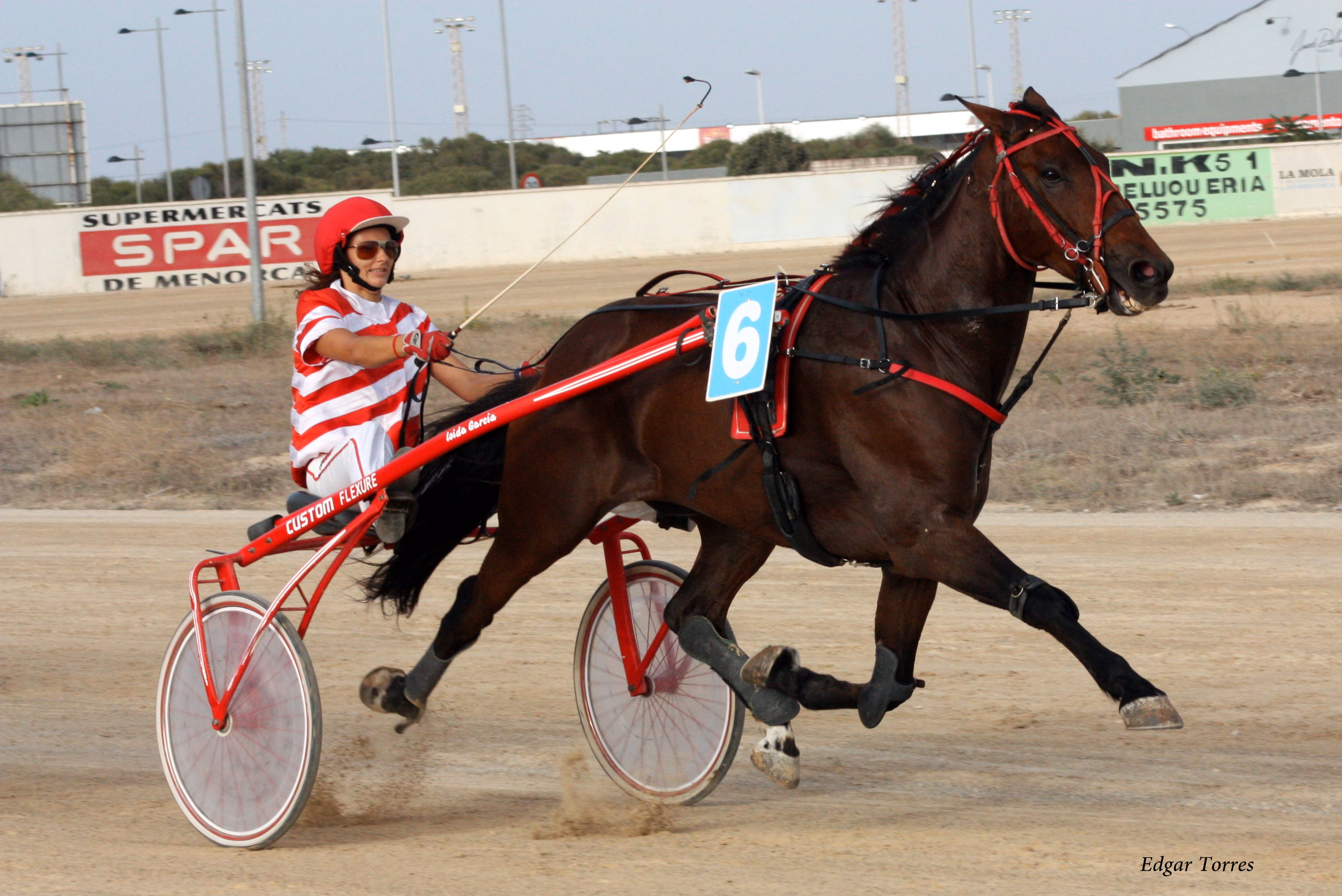 Cuarto premio "Amics del Trot" en el hipódromo de Maó