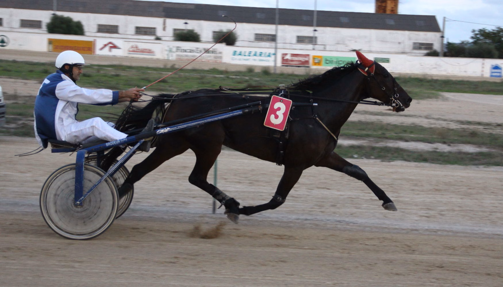 Terra des Bosc triunfa en la tercera carrera en el hipódromo de Maó