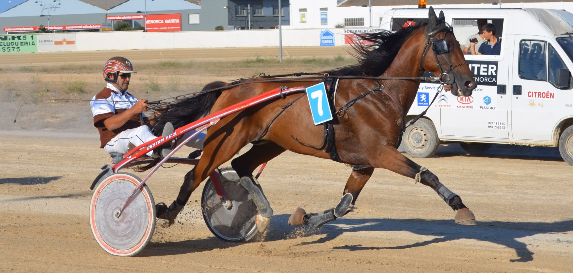 Gran Premio de los 4 años Consell Insular en el hipódromo de Maó
