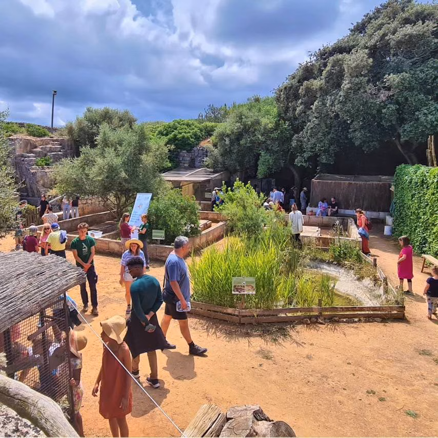 Abre el Centre de Recuperació de Fauna de Menorca