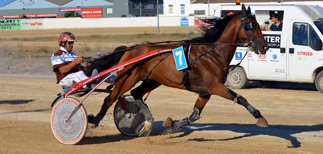 Amour Dream se impone en la segunda carrera del hipódromo de Maó