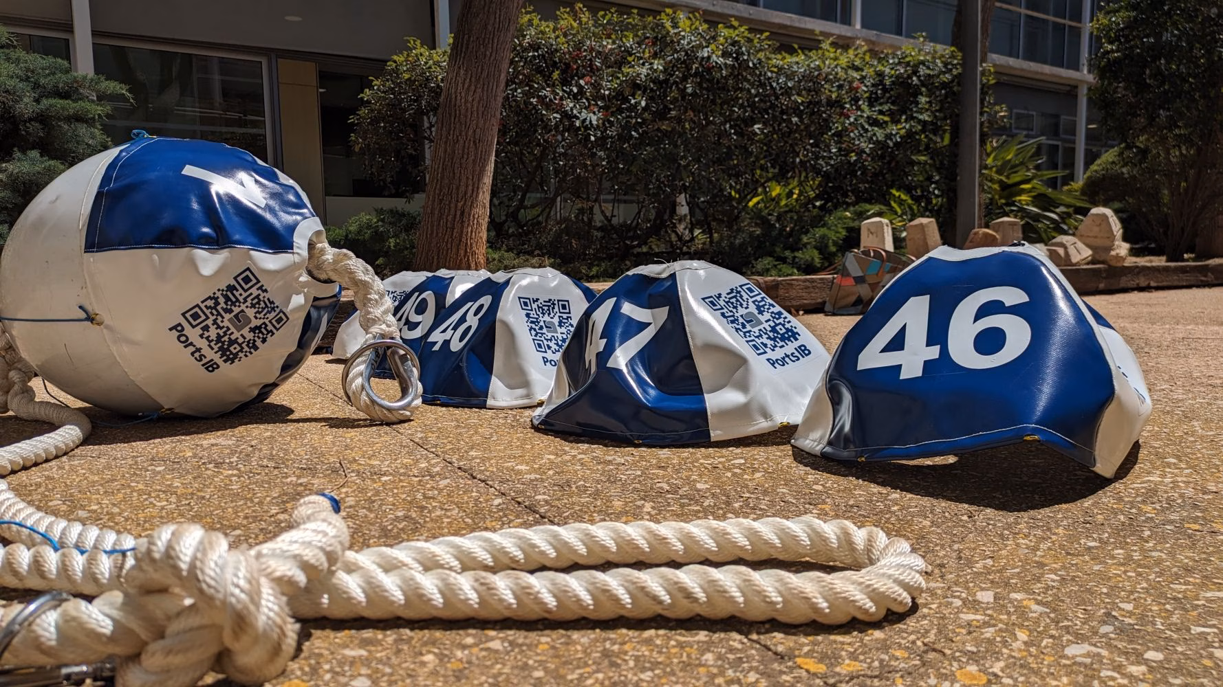 Ports IB pone en marcha una plataforma para reservar boyas en Fornells y Cala Tamarells