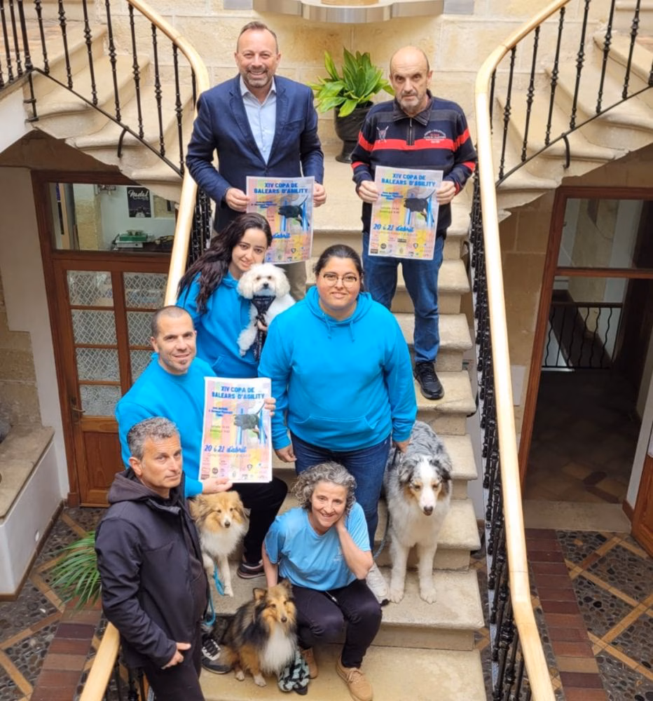 Los perros más ágiles compiten en Alaior